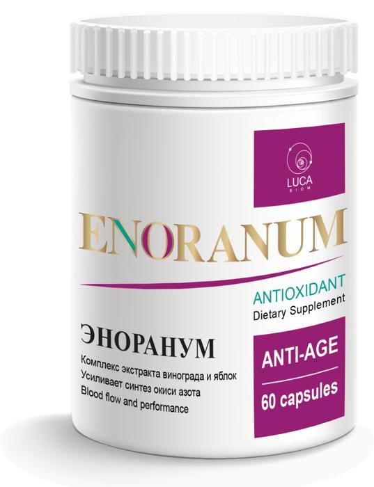 ЭНОРАНУМ (ENORANUM)